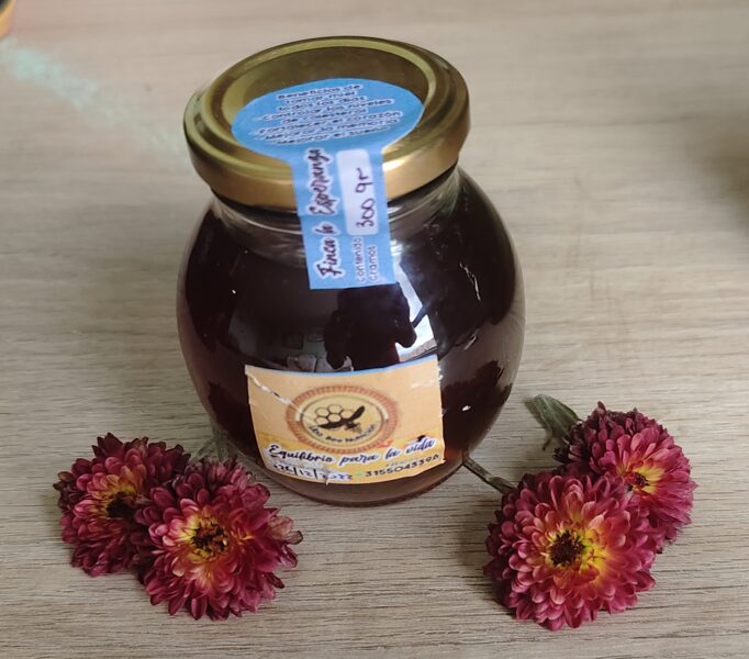 Miel pura de abejas 300gm envase vidrio